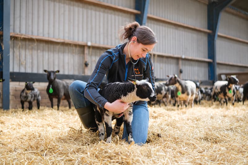 Behandeling aandoeningen